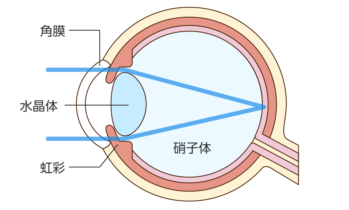 正常